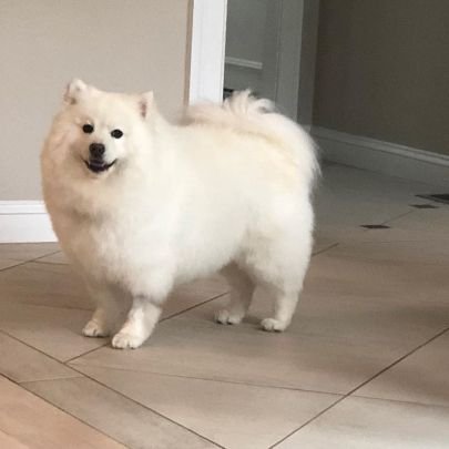 JayceeHernand10's profile picture. ❤️