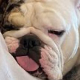 overthequotes's profile picture. football