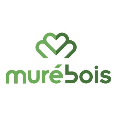 Murébois expert en solution constructive bois vous accompagne dans vos projets de construction, rénovation et d'extension de bâtiments.