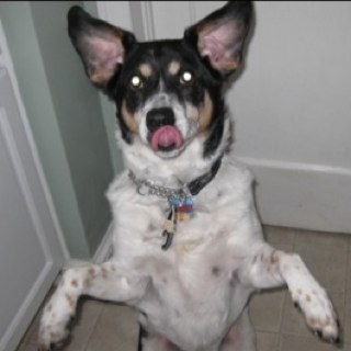 DavidLHess's profile picture. the real deal