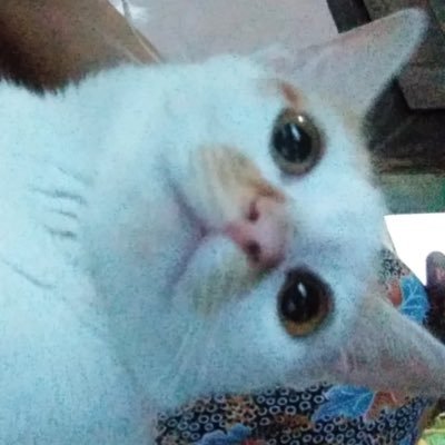 afkbody's profile picture. 