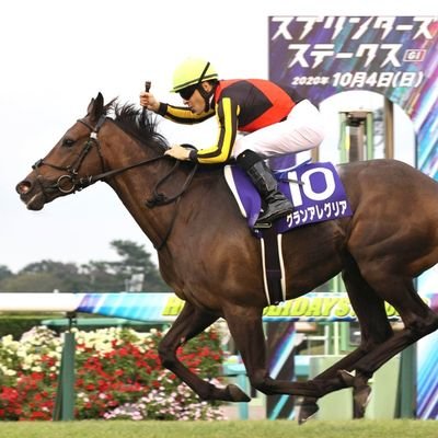 Youtube登録者数10万人💫
競馬全レース予想TV
芝担当グランです！！

相方モズと一緒に
メンバー数1500人を越える
DMMオンラインサロンを
運営しております🤝

https://t.co/KkXSL1P4C1