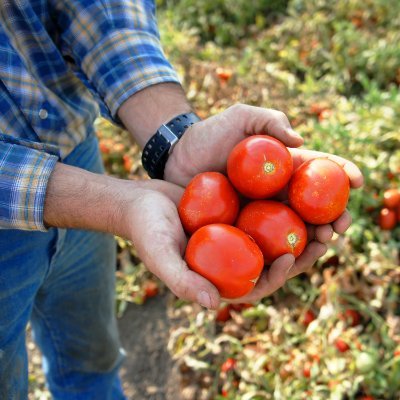 We are an Agricultural Co-Op, owned by over 160 family-farms located in Central and Northern California. We specialize in canning fruits and tomatoes.