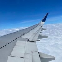 Tuan Hoang (@tuanhtc) 's Twitter Profile