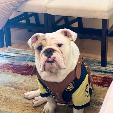 sgarturoloza's profile picture. Hágase tu voluntad, No la mía.