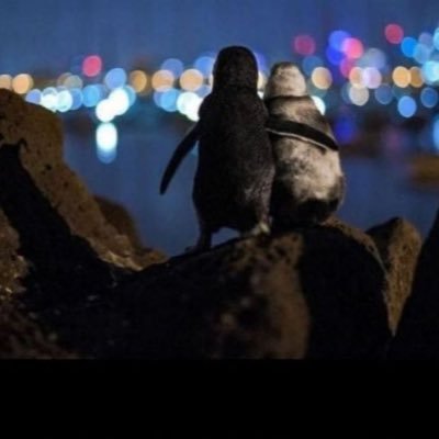 Michael07489959's profile picture. Principal of Educational Services, Educator, Dad