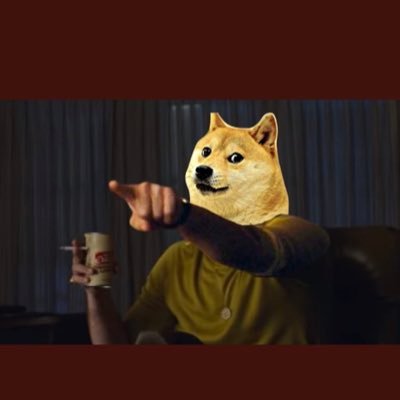 Doge all day, Doge all night