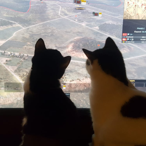 Veni, Video (gaming), Vici! A streamer who streams a variety of games, DCS, Strategy, exploration, tactical and more. Warning: has a penchant for the Baroque.