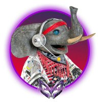 Elefante 🐘 (@elefanteqelm) 's Twitter Profile