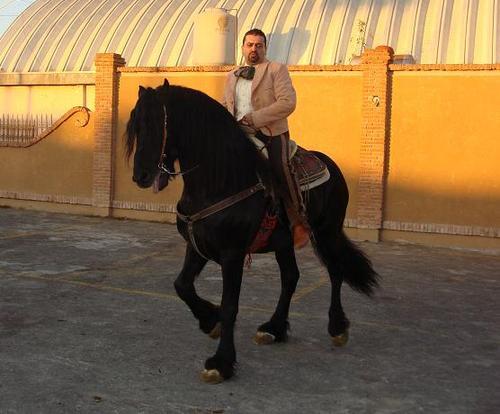 sepulveda7's profile picture. Ingeniero en Sistemas de Información / Licenciado en Derecho