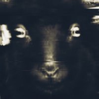 đ“‚€ (@guillotinetea) 's Twitter Profile