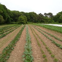 Brix Bounty Farm (@brix_farm) 's Twitter Profile Photo Brix Bounty Farm (@brix_farm) 's Twitter Profile Photo