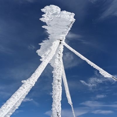 sport4fun50's profile picture. 