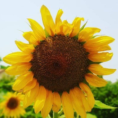 abdota's profile picture. The Best of all Possible Worlds...