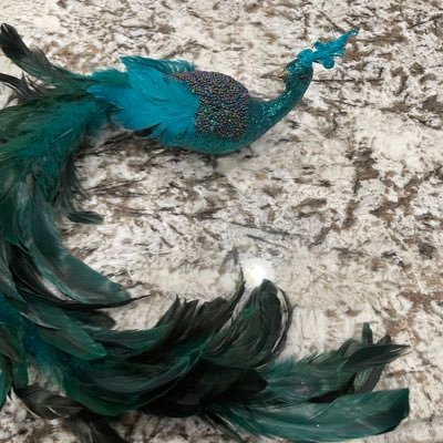 Elena00612847's profile picture. 