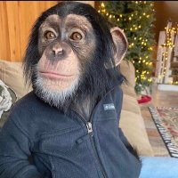 kart (@esv_kartz) 's Twitter Profile