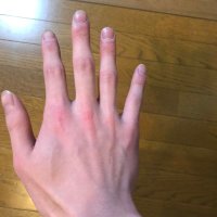 プー太郎 (@pusan_not_bear) Twitter profile photo