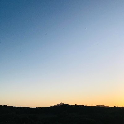 proxy_nova12's profile picture. 