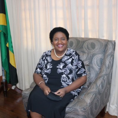 OmbudsmanJA's profile picture. To ensure political representatives, those aspiring to political office and constituents enjoy a fair and just electoral process and wholesome representation.