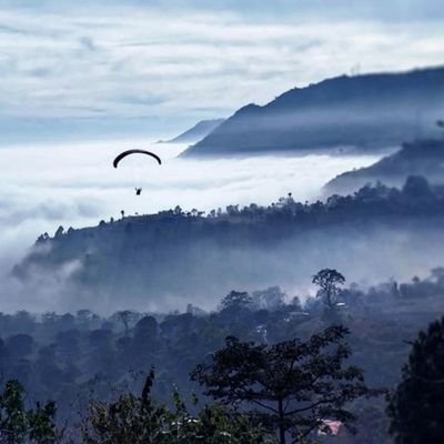 o9ooooo9's profile picture. 