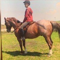 Dani Rios (@dani_riversv) 's Twitter Profile