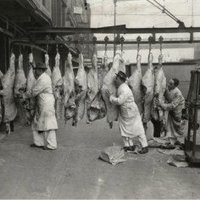 Meat Factory (@lilmeaties) 's Twitter Profile Photo