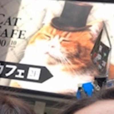 rosierosjeposi3's profile picture. ROSEMARY!!