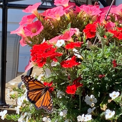 christadbebrave's profile picture. Mom, Partner and Passionate Advocate