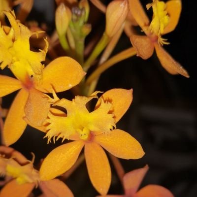 SilviaNDM's profile picture. 