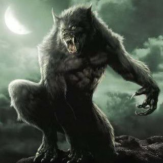 Wolfman__Matt Profile Picture