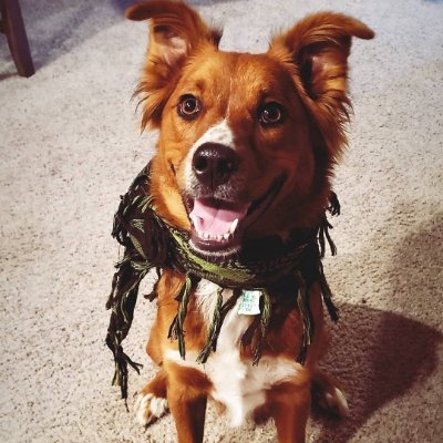 SlumYosh's profile picture. 