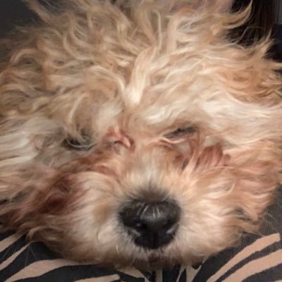 LollyB79's profile picture. 