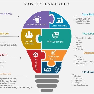 VMS IT Services Company Canada Profile