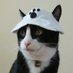 ぷみお現場の猫 (@0371satomi) Twitter profile photo ぷみお現場の猫 (@0371satomi) Twitter profile photo