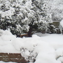 Derek Grist - @FreshHomesClean - Twitter