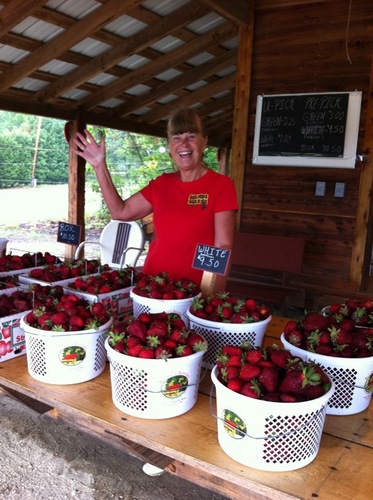 A real working strawberry and produce farm located at 5421 Groometown Road, Greensboro, NC 27407
336-852-1594