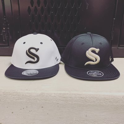 SabreBaseball90 Profile Picture