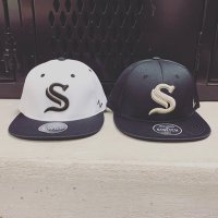 Streamwood Baseball(@SabreBaseball90) 's Twitter Profile Photo