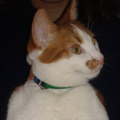 sevim_cici's profile picture. biricik olmam.tıpkı herkesin biricik olduğu gibi...