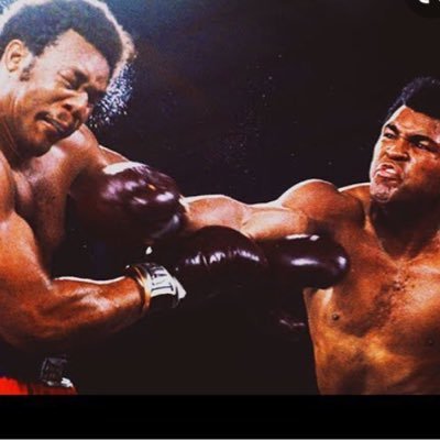 Troy66328415's profile picture. 