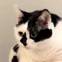 solarwick. (@solar_wick) 's Twitter Profile