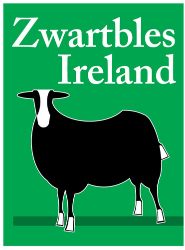 Zwartbles Ireland • Suzanna Crampton