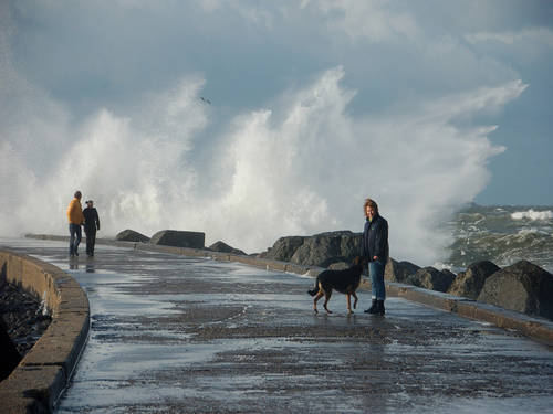 LialovesAmeland's profile picture. 😁💋❤💋😂