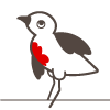 Twitter profile picture for @ioan