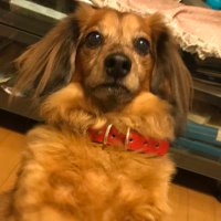Poppin Coco (@poppincoco) 's Twitter Profile Photo Poppin Coco (@poppincoco) 's Twitter Profile Photo