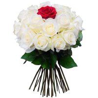 عادل ديوث وفحل (@zoo74912469) Twitter profile photo
