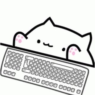 CatnipCapital's profile picture. Hunting volatility