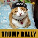 William Charles Hays - @William51340672 - Twitter