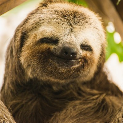 ISMoore3's profile picture. no uso esto