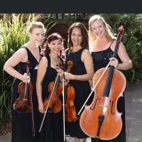 Amicus Strings(@AmicusStrings) 's Twitter Profile Photo